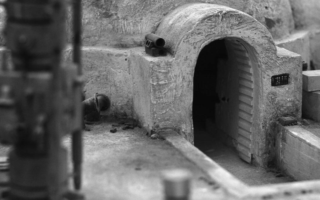 Special – Descendants of Order 66 : Chapter II