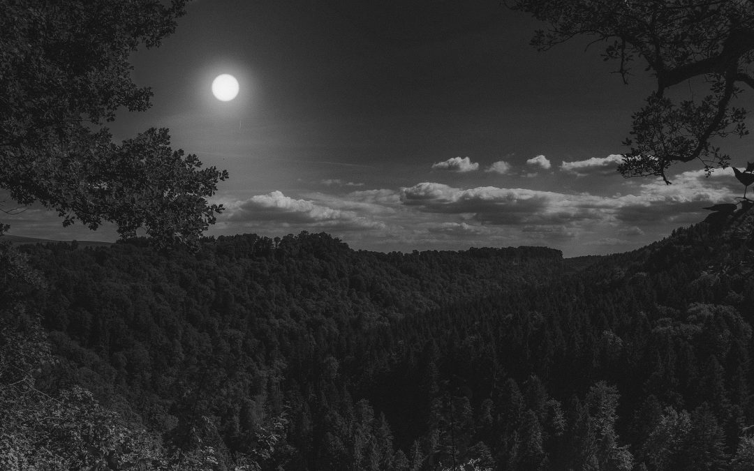 RT #75 – Big in Corvus